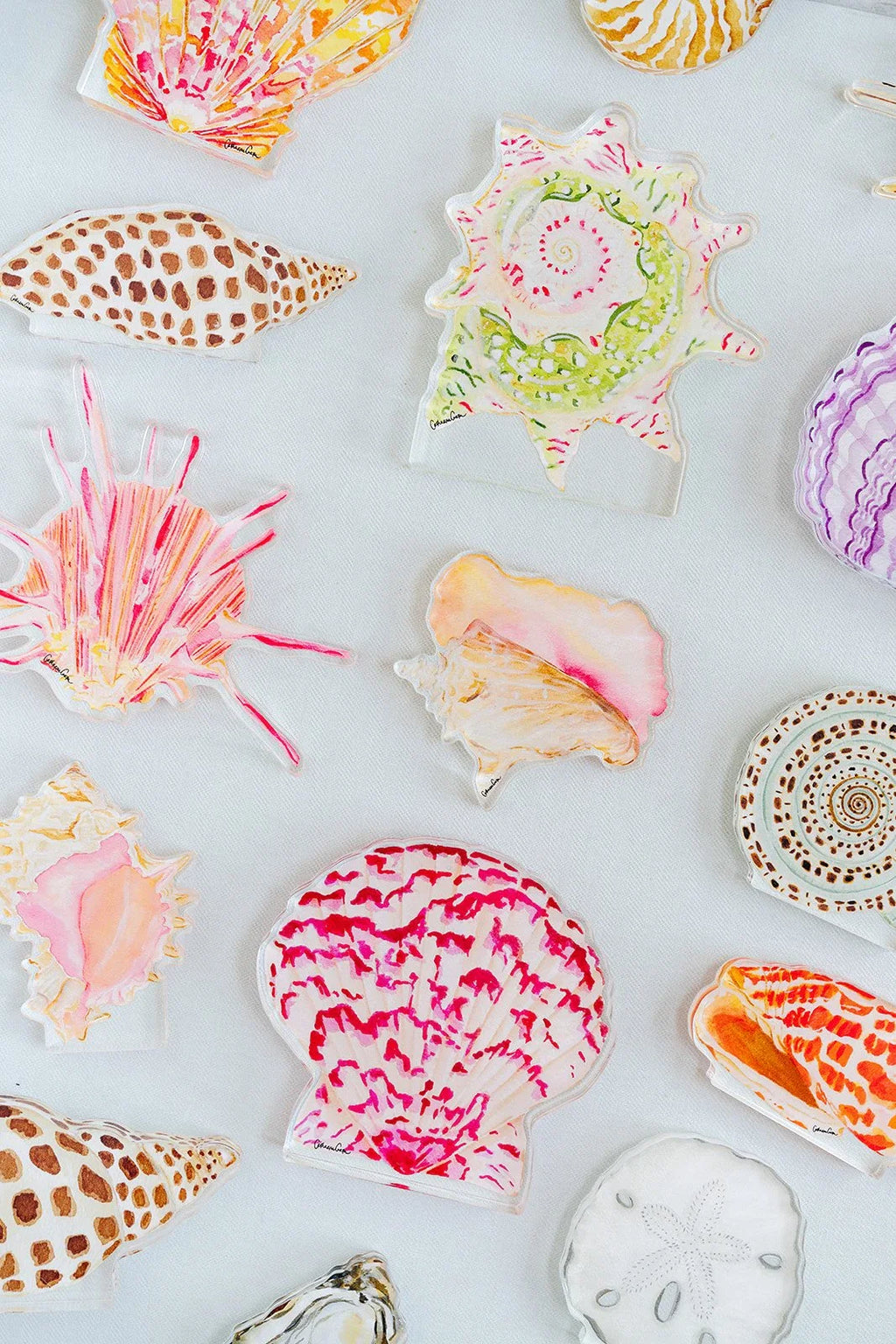 Calico Scallop Acrylic Art Block Large