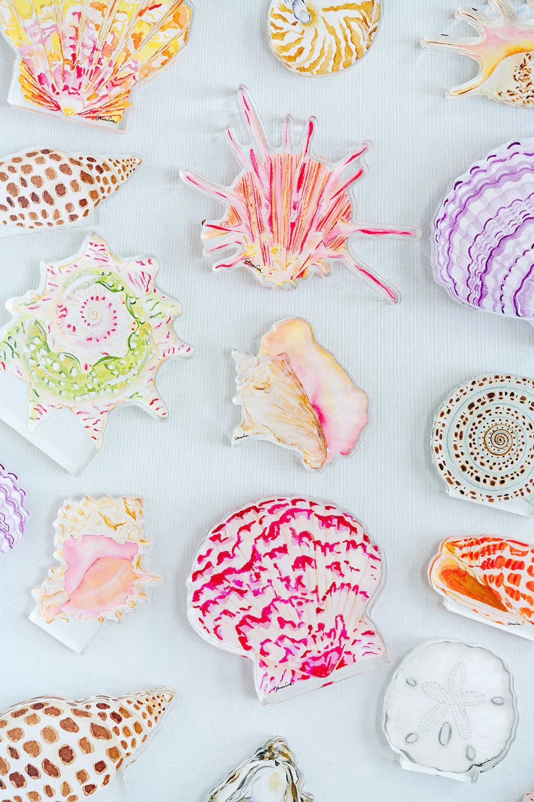 Sunrise Shell Acrylic Art Block Small