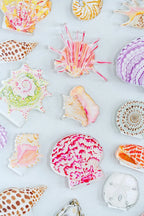 Sunrise Shell Acrylic Art Block Large