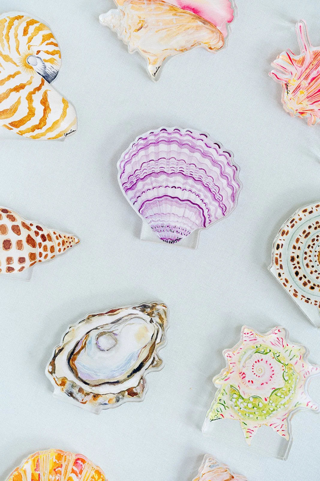 Lilac Cockle Acrylic Art Block Small