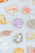 Junonia Acrylic Art Block Large