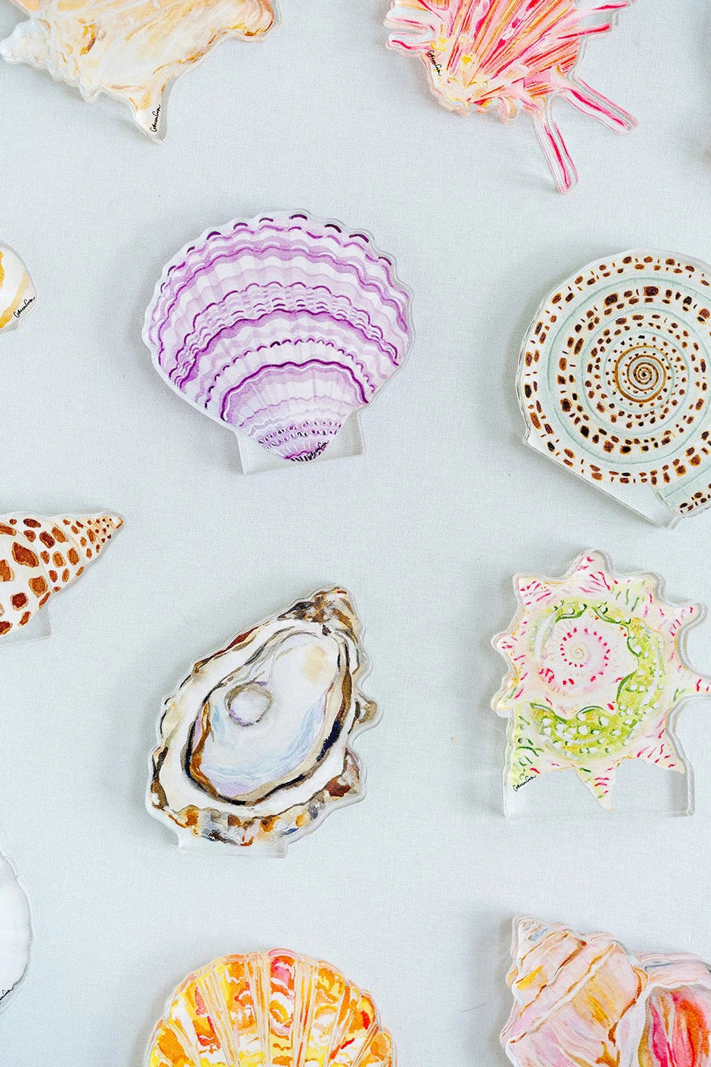 Oyster Acrylic Art Block Small