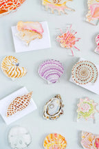 Nautilus Acrylic Art Block Large