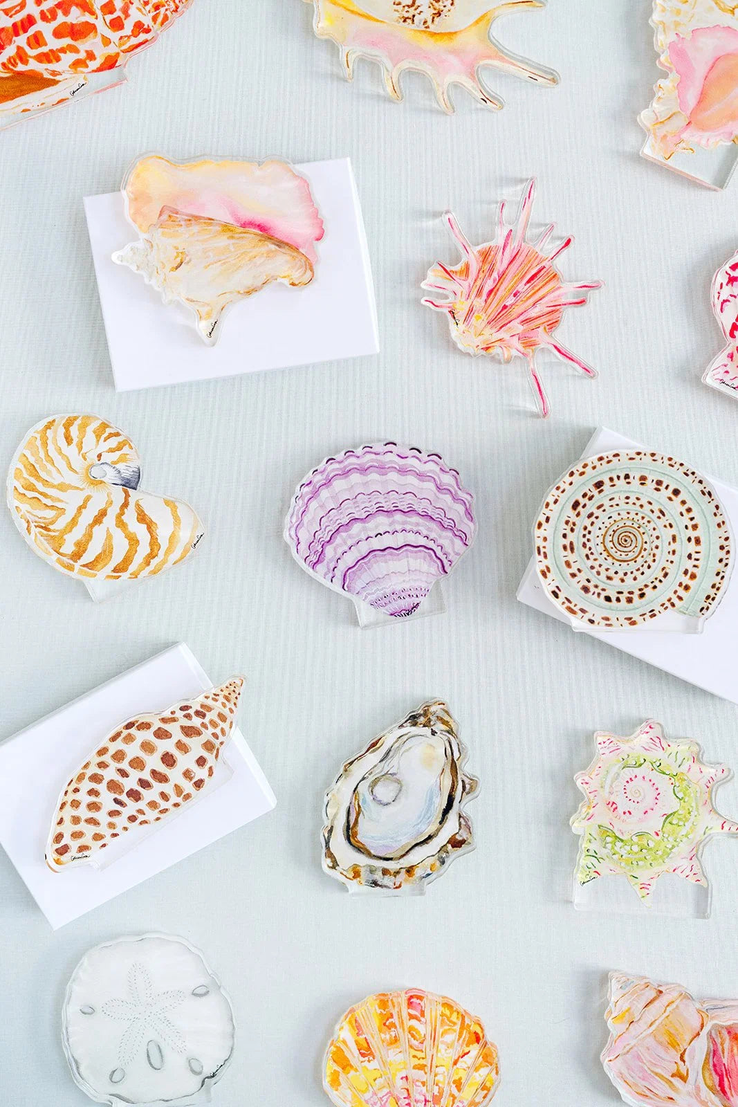 Nautilus Acrylic Art Block Large