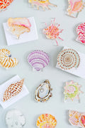 Channeled Whelk Acrylic Art Block Small