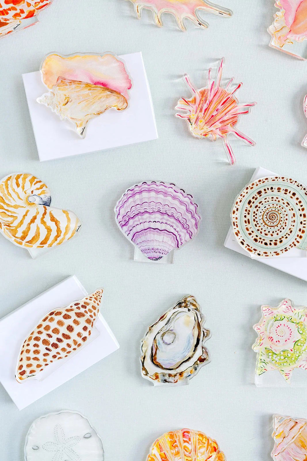 Nautilus Acrylic Art Block Large