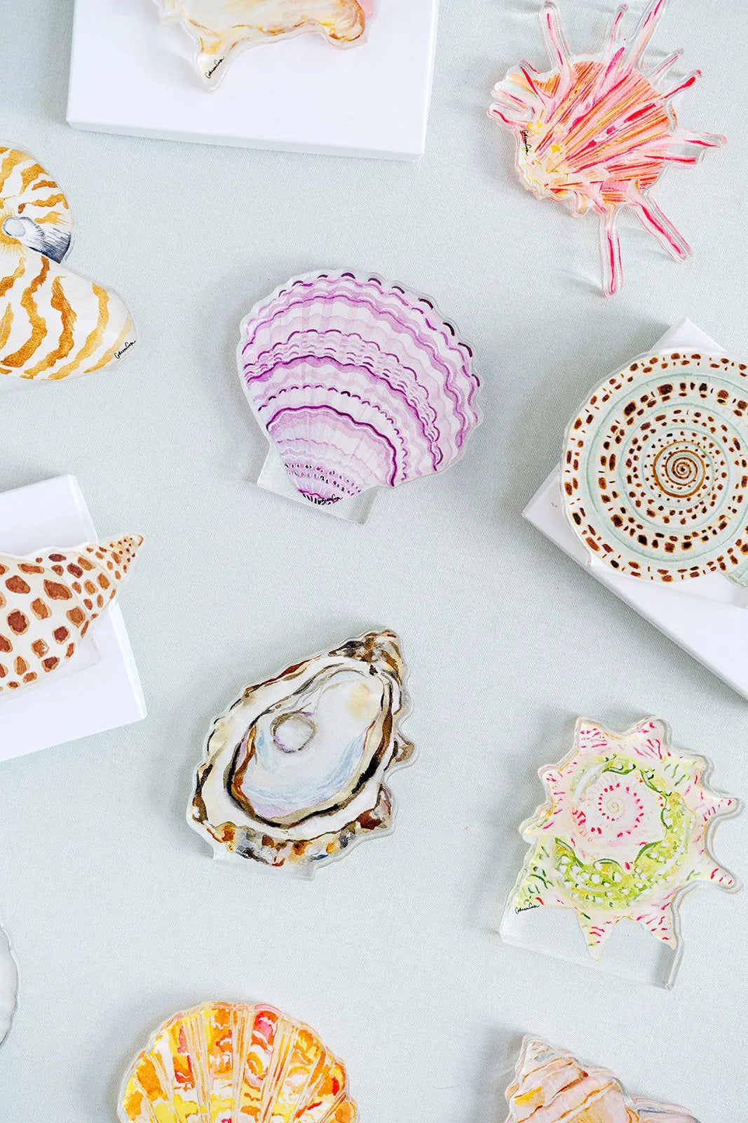 Star Shell Acrylic Art Block Small