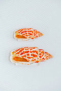 Miter Shell Acrylic Art Block Small