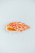 Miter Shell Acrylic Art Block Large