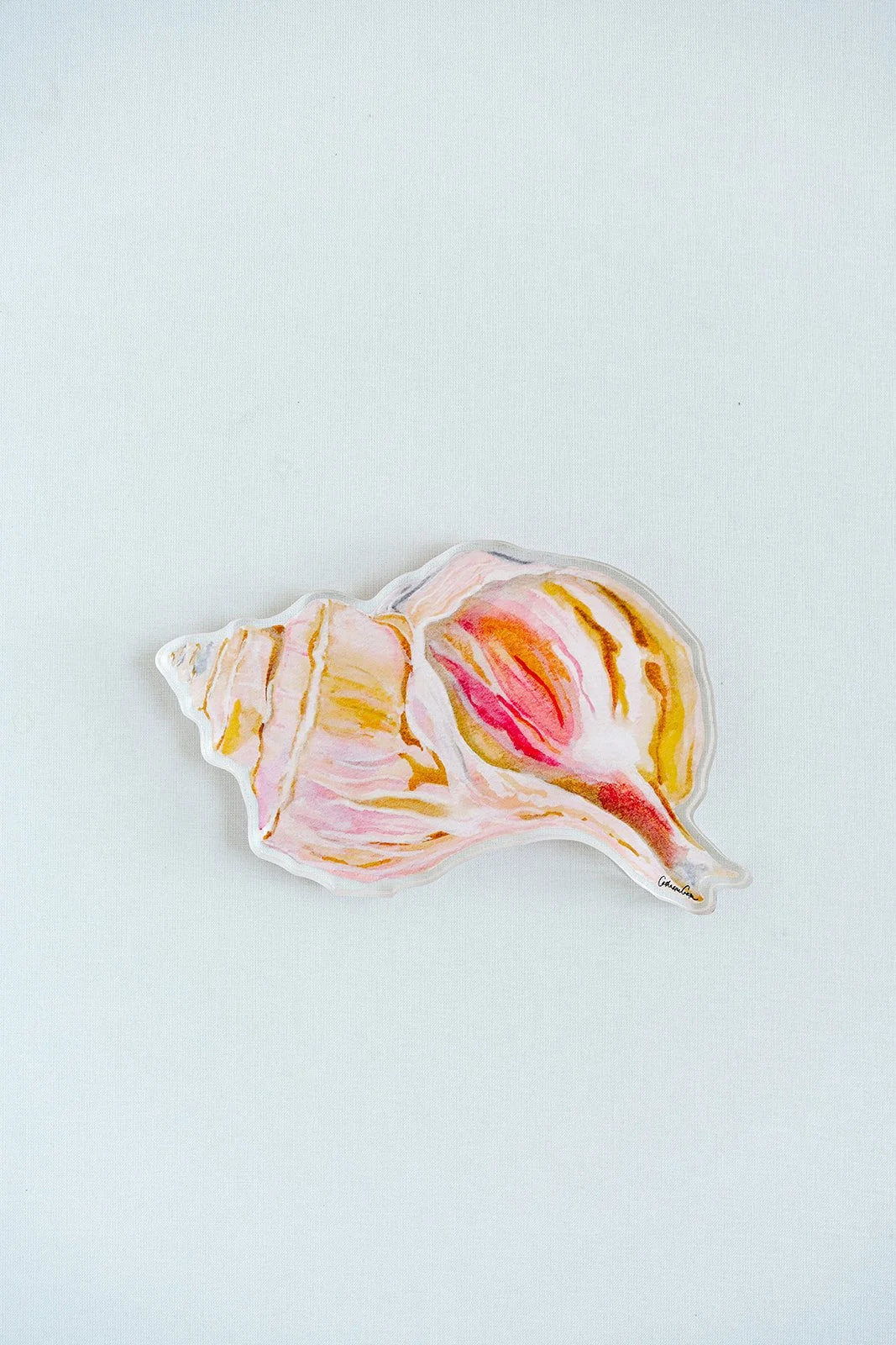 Channeled Whelk Acrylic Art Block Large