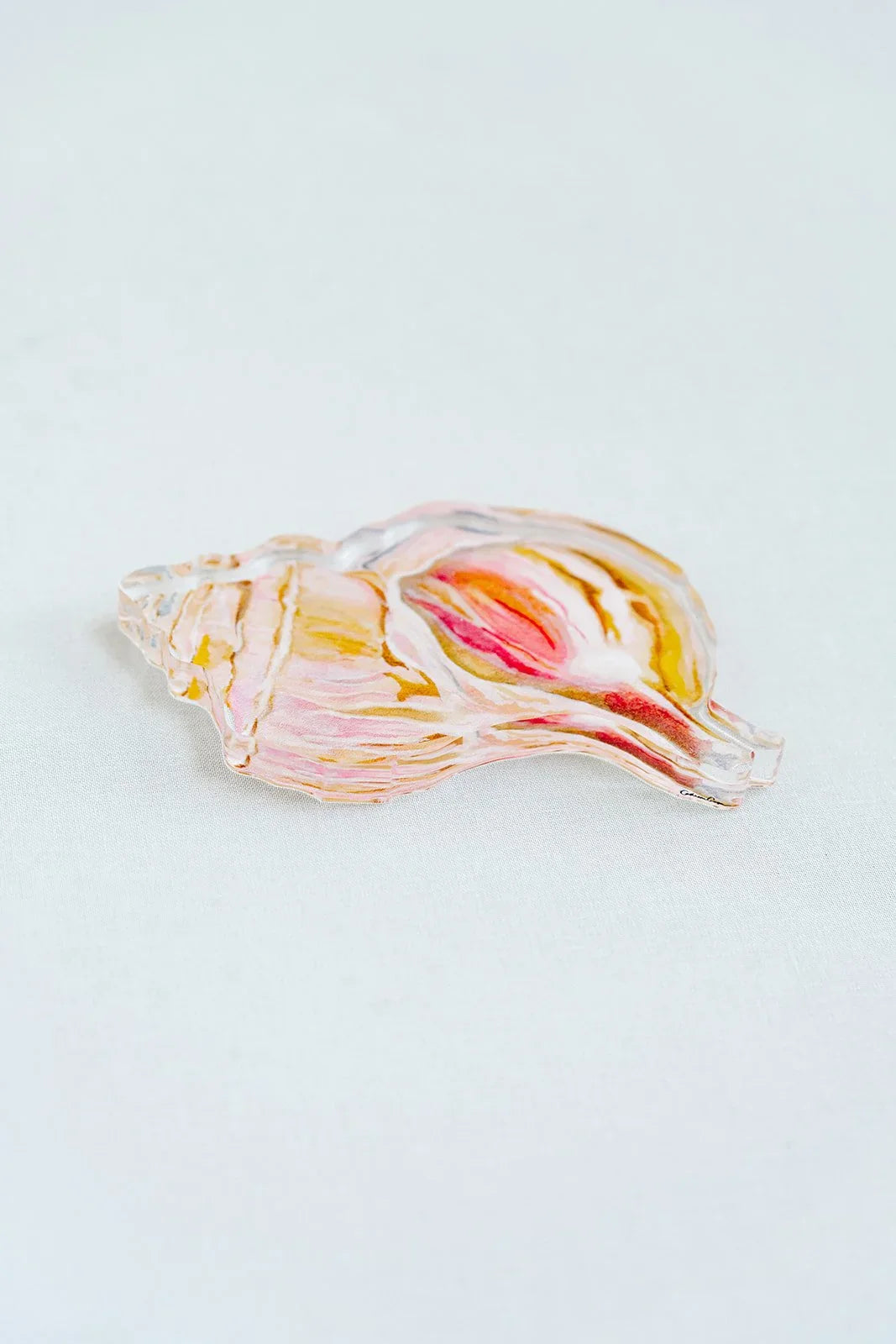 Channeled Whelk Acrylic Art Block Small