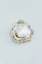 Oyster Acrylic Art Block Large