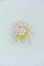 Star Shell Acrylic Art Block Small