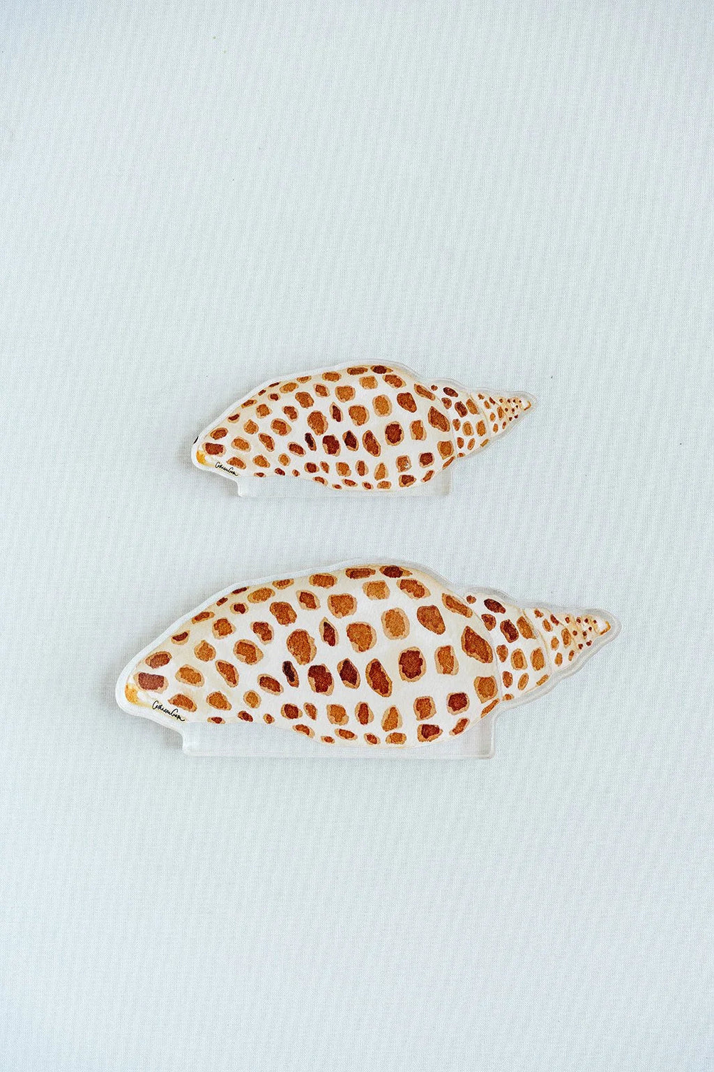 Junonia Acrylic Art Block Small