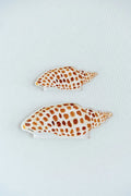 Junonia Acrylic Art Block Small