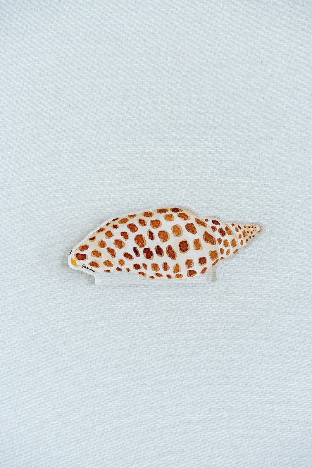 Junonia Acrylic Art Block Large