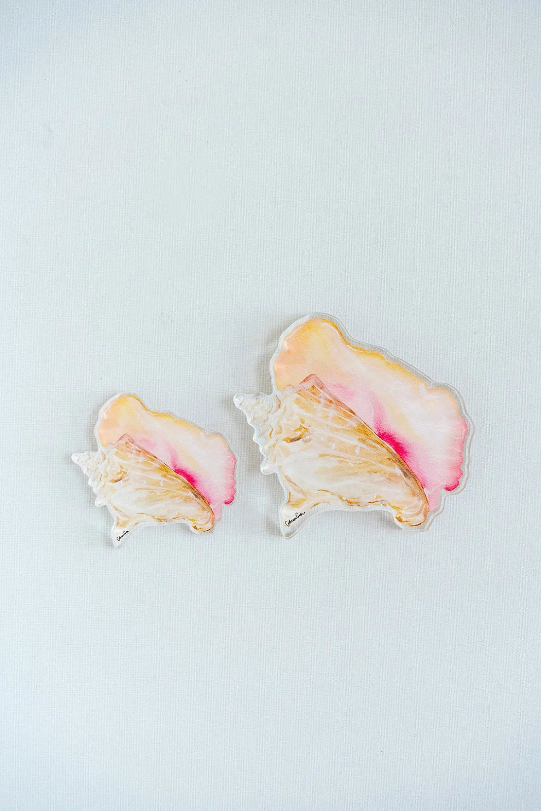 Queen Conch Acrylic Art Block Large