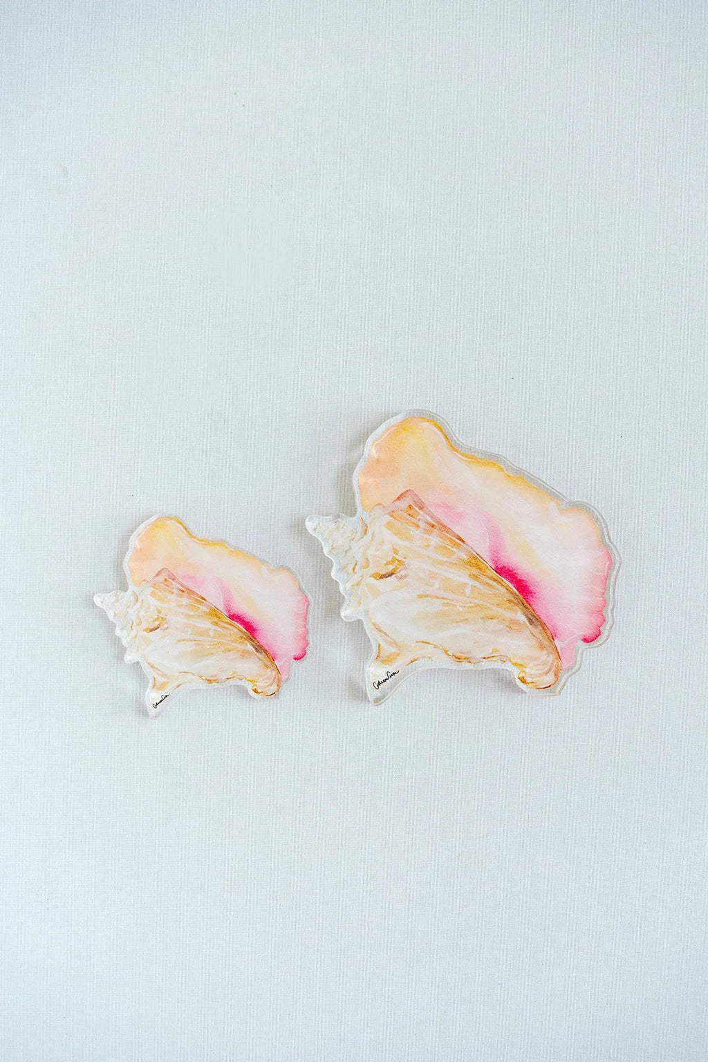 Queen Conch Acrylic Art Block Small