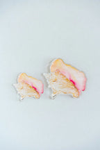 Queen Conch Acrylic Art Block Small