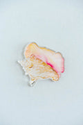 Queen Conch Acrylic Art Block Large