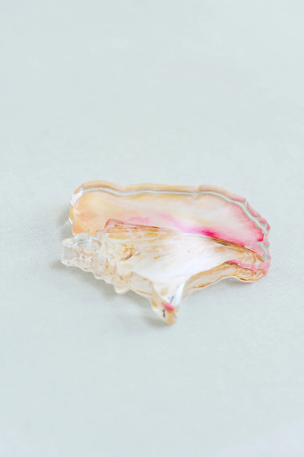 Queen Conch Acrylic Art Block Large