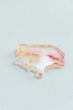 Queen Conch Acrylic Art Block Large