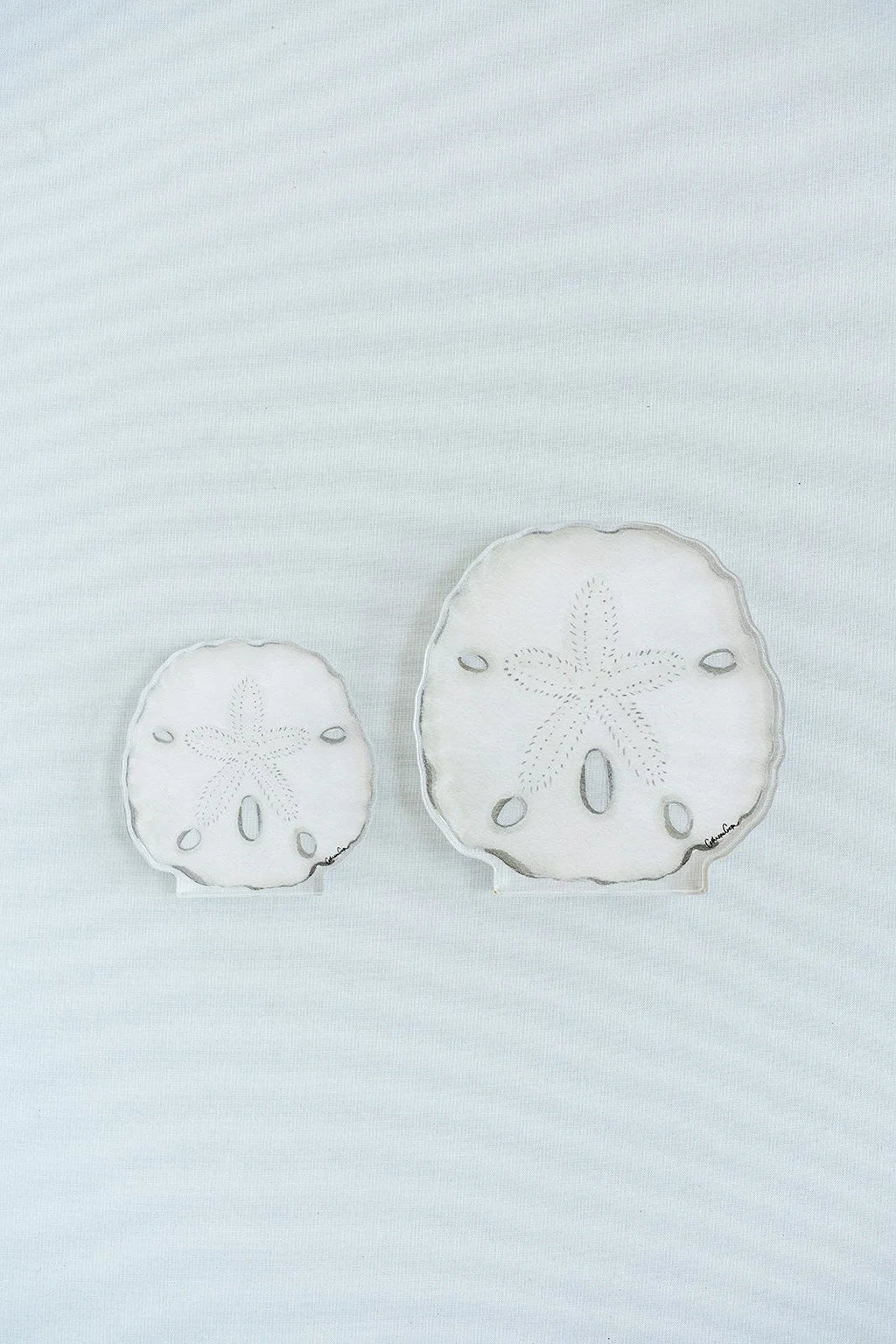 Sand Dollar Acrylic Art Block Large