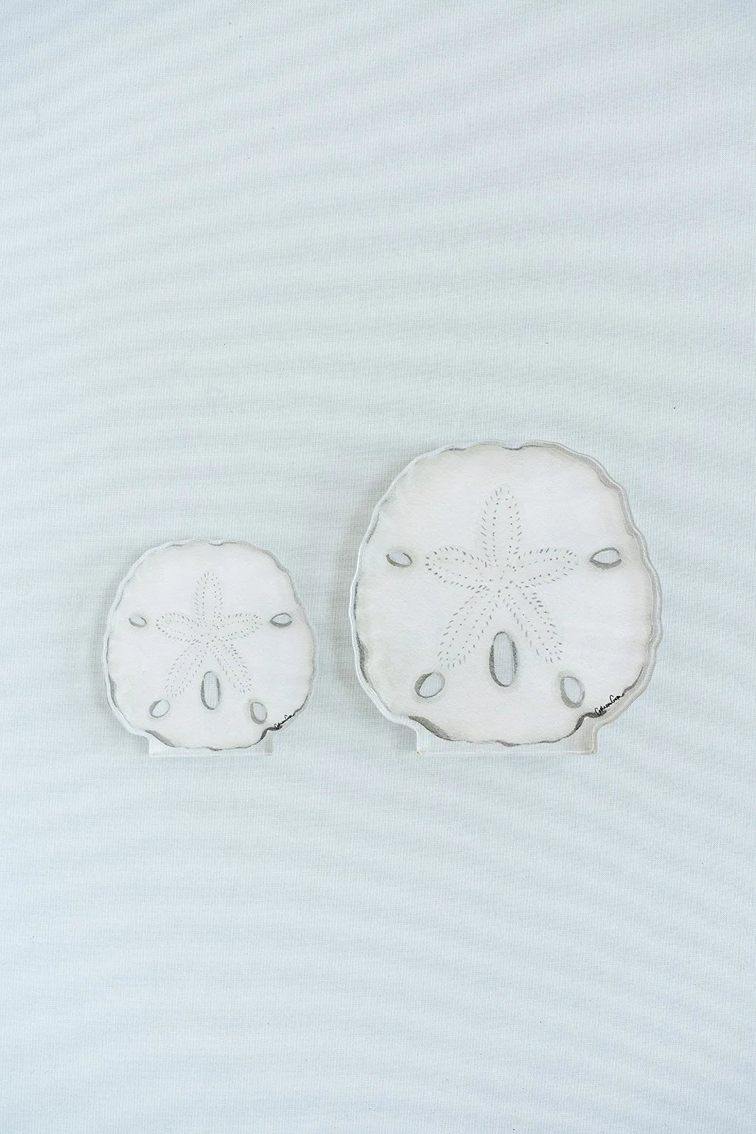 Sand Dollar Acrylic Art Block Large