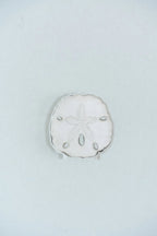 Sand Dollar Acrylic Art Block Small