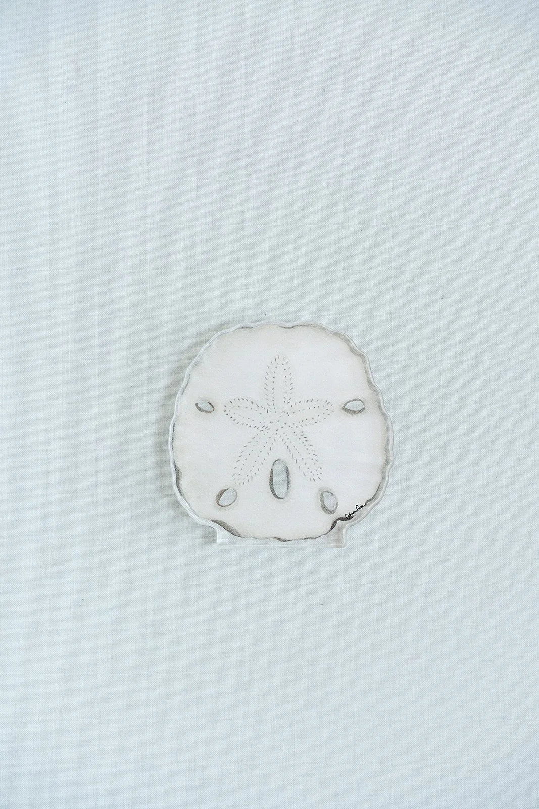 Sand Dollar Acrylic Art Block Small