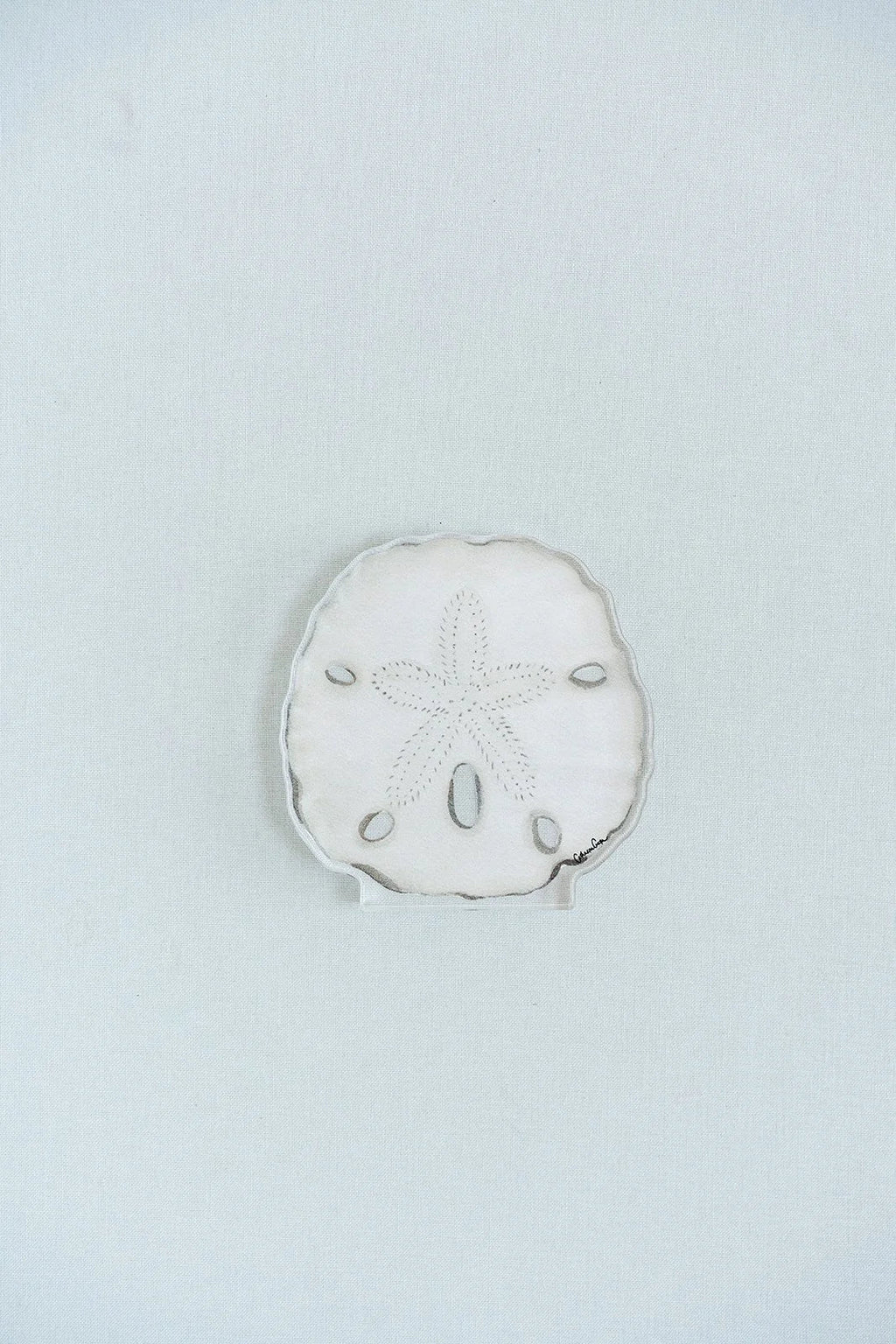 Sand Dollar Acrylic Art Block Large