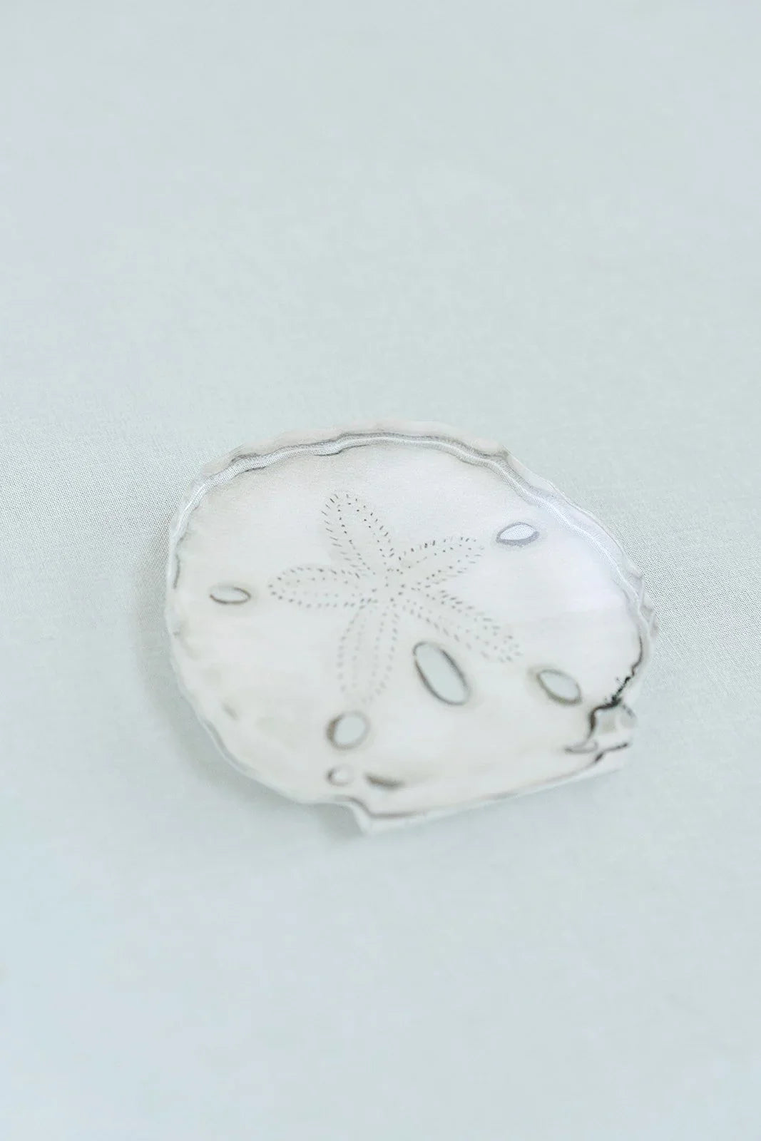 Sand Dollar Acrylic Art Block Small