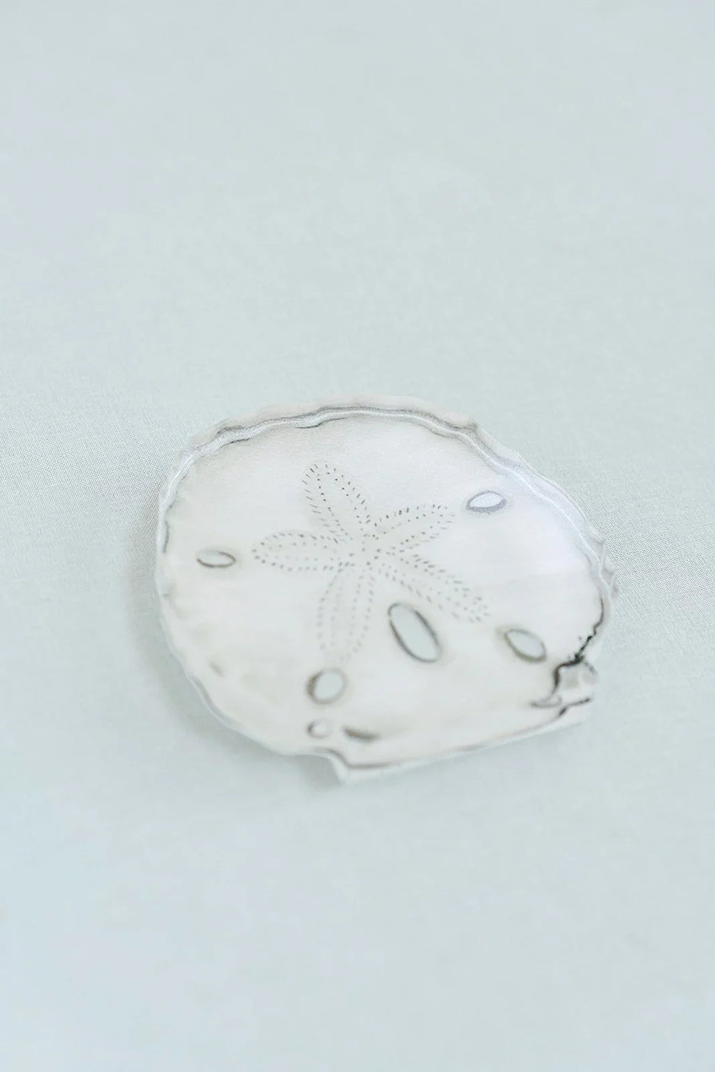 Sand Dollar Acrylic Art Block Large