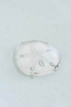 Sand Dollar Acrylic Art Block Large