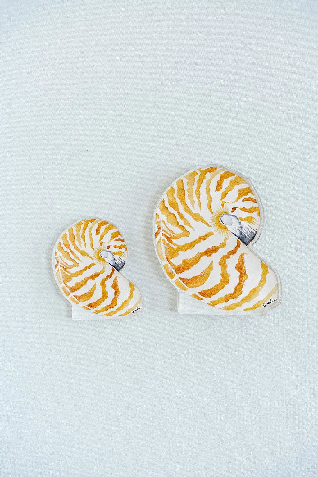 Nautilus Acrylic Art Block Large