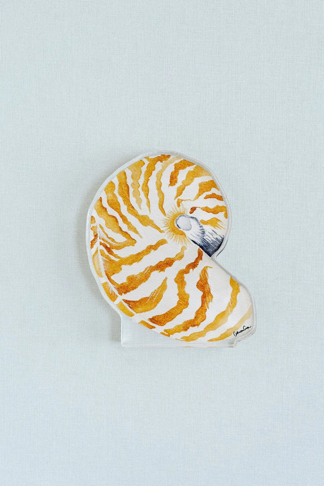 Nautilus Acrylic Art Block Large