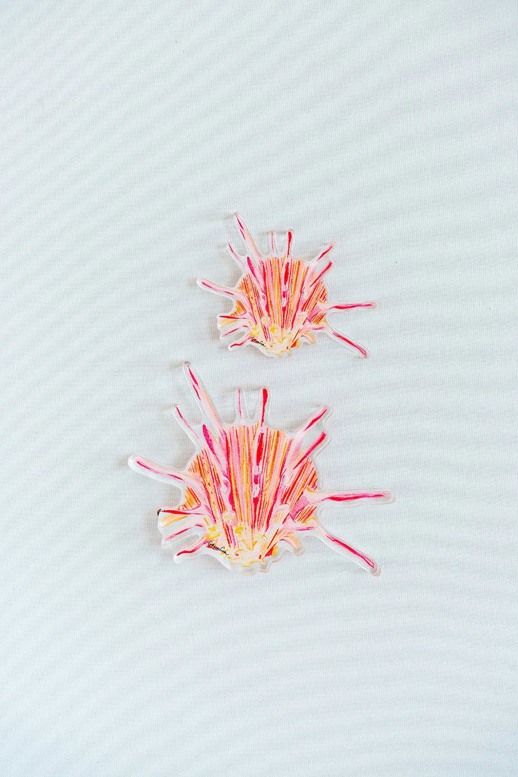 Spiny Oyster Acrylic Art Block Large