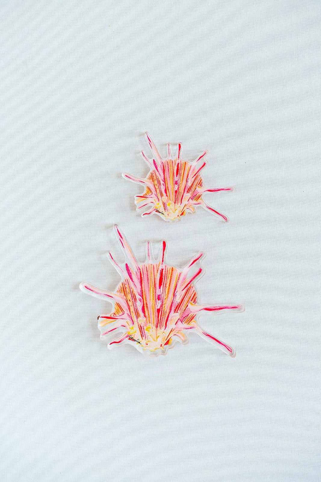 Spiny Oyster Acrylic Art Block Large