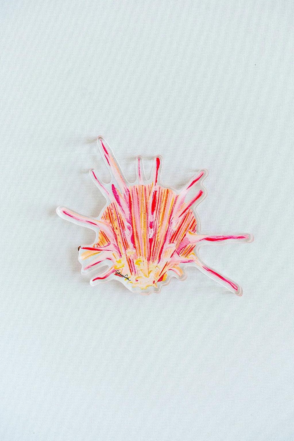 Spiny Oyster Acrylic Art Block Large
