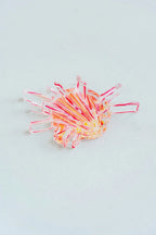 Spiny Oyster Acrylic Art Block Small