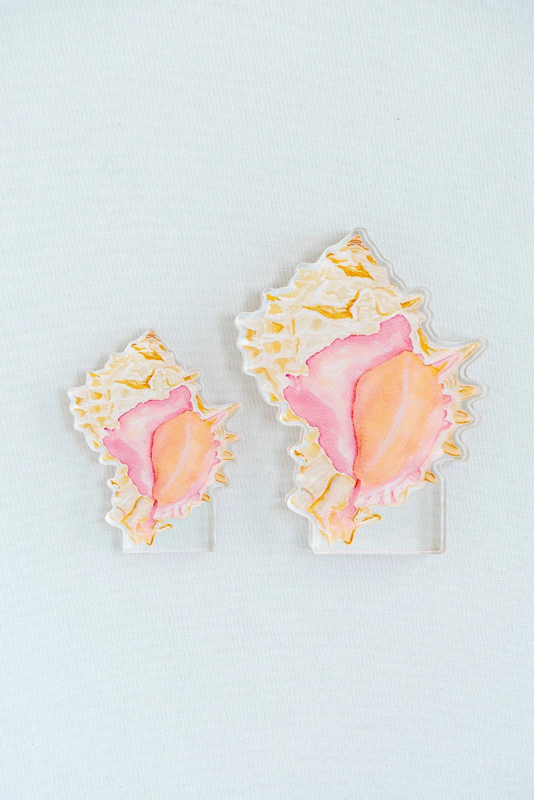 Pink Murex Acrylic Art Block Small