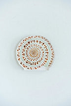 Sundial Shell Acrylic Art Block Small