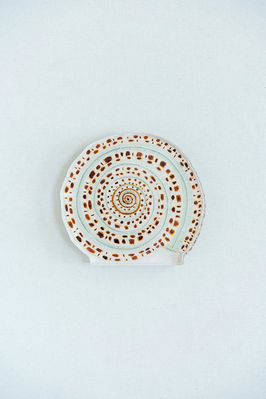 Sundial Shell Acrylic Art Block Small