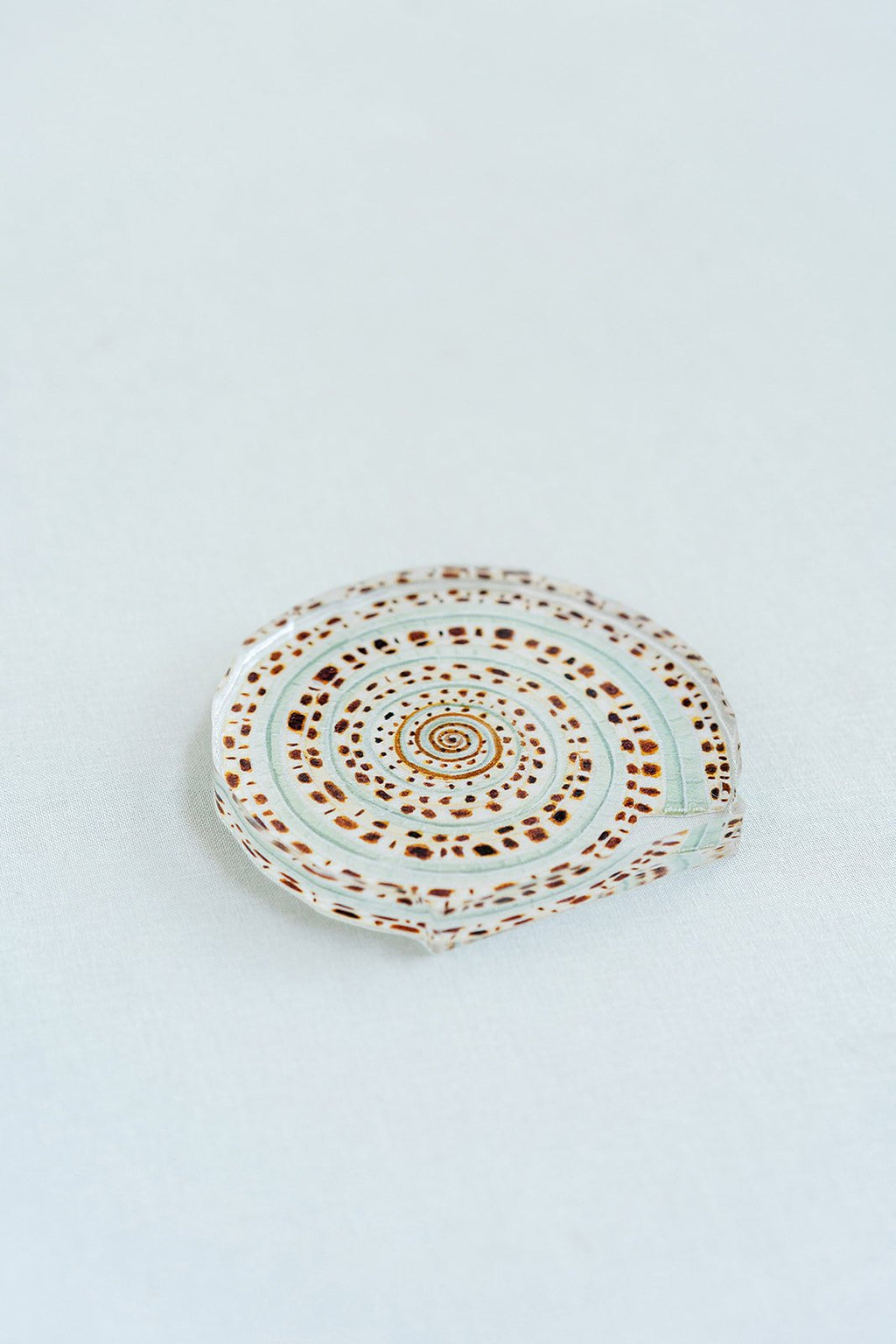 Sundial Shell Acrylic Art Block Small