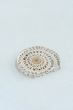 Sundial Shell Acrylic Art Block Small