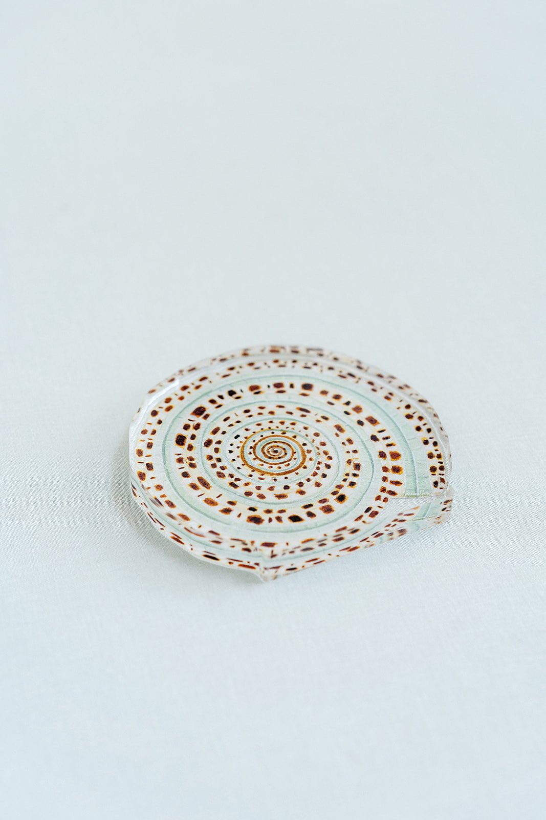 Sundial Shell Acrylic Art Block Small