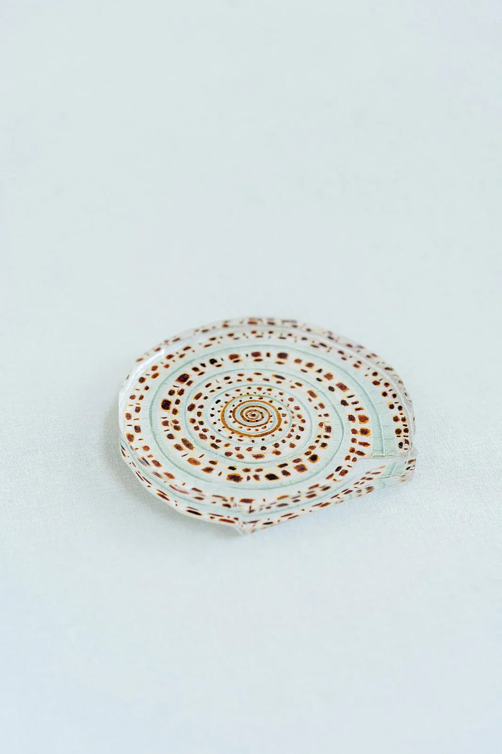 Sundial Shell Acrylic Art Block Large