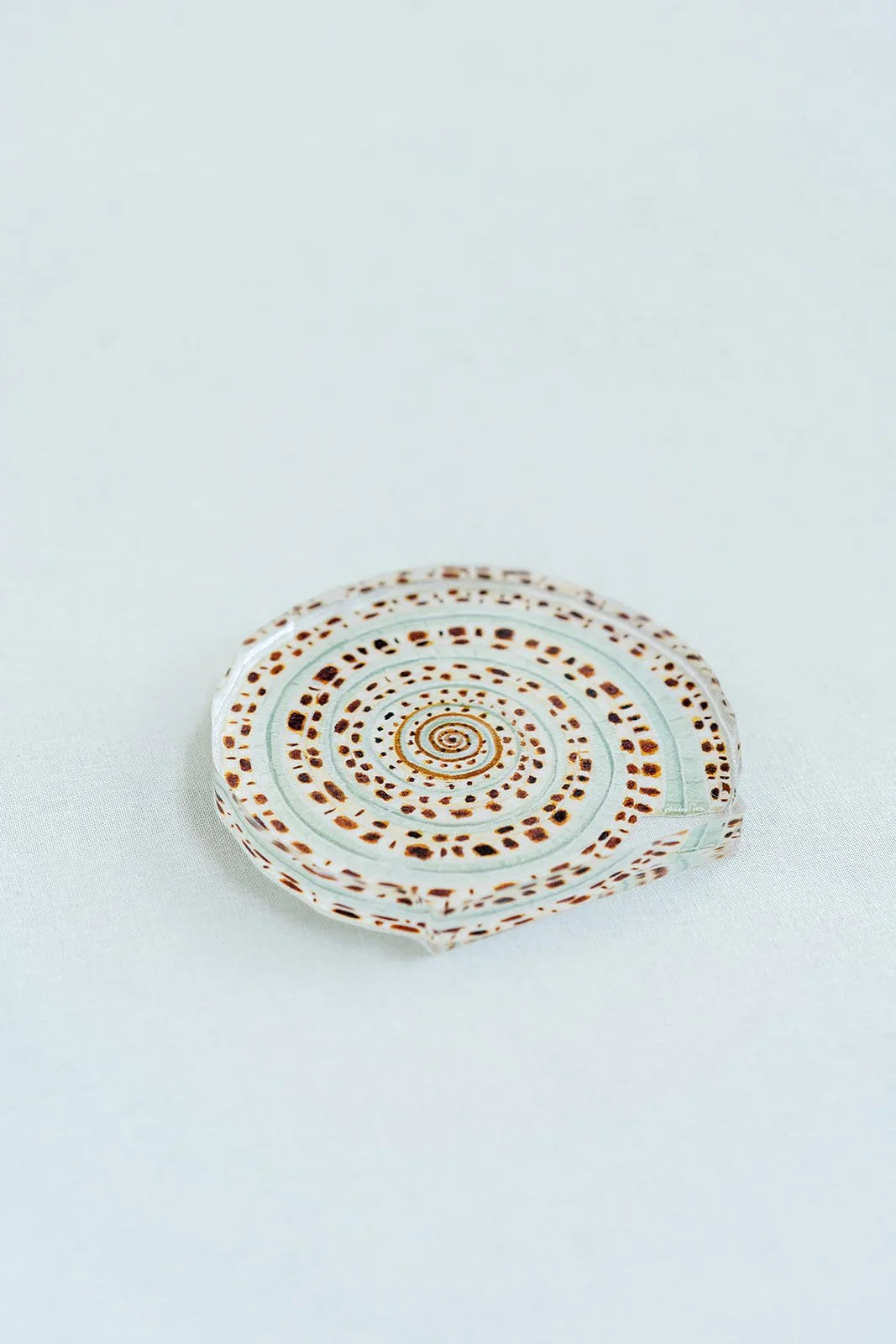 Sundial Shell Acrylic Art Block Large