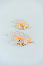 Spider Conch Acrylic Art Block Large