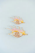 Spider Conch Acrylic Art Block Small